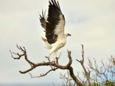 Route West Australië, 25 dagen - Day 21