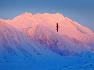 Route 12 dagen Spitsbergen - Dag 3