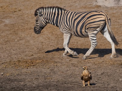 Route Namibië, 20 dagen - Dag 14