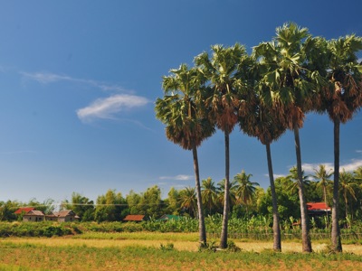 Route Cambodja en Thailand, 21 dagen - Day 4