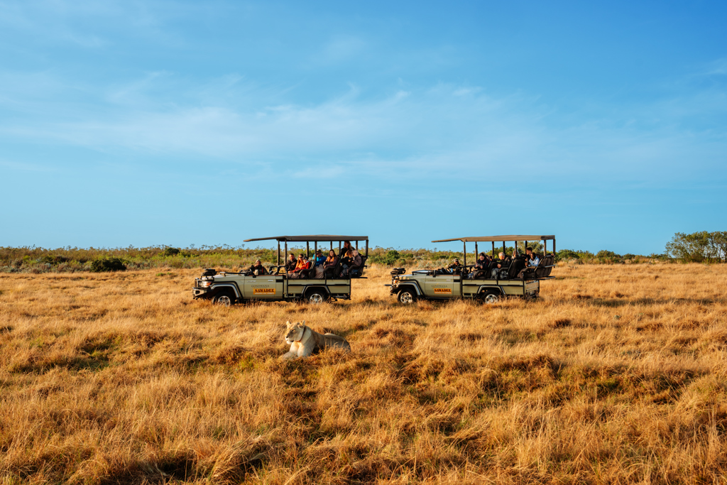 ZGF - Zuid-Afrika safari.jpg