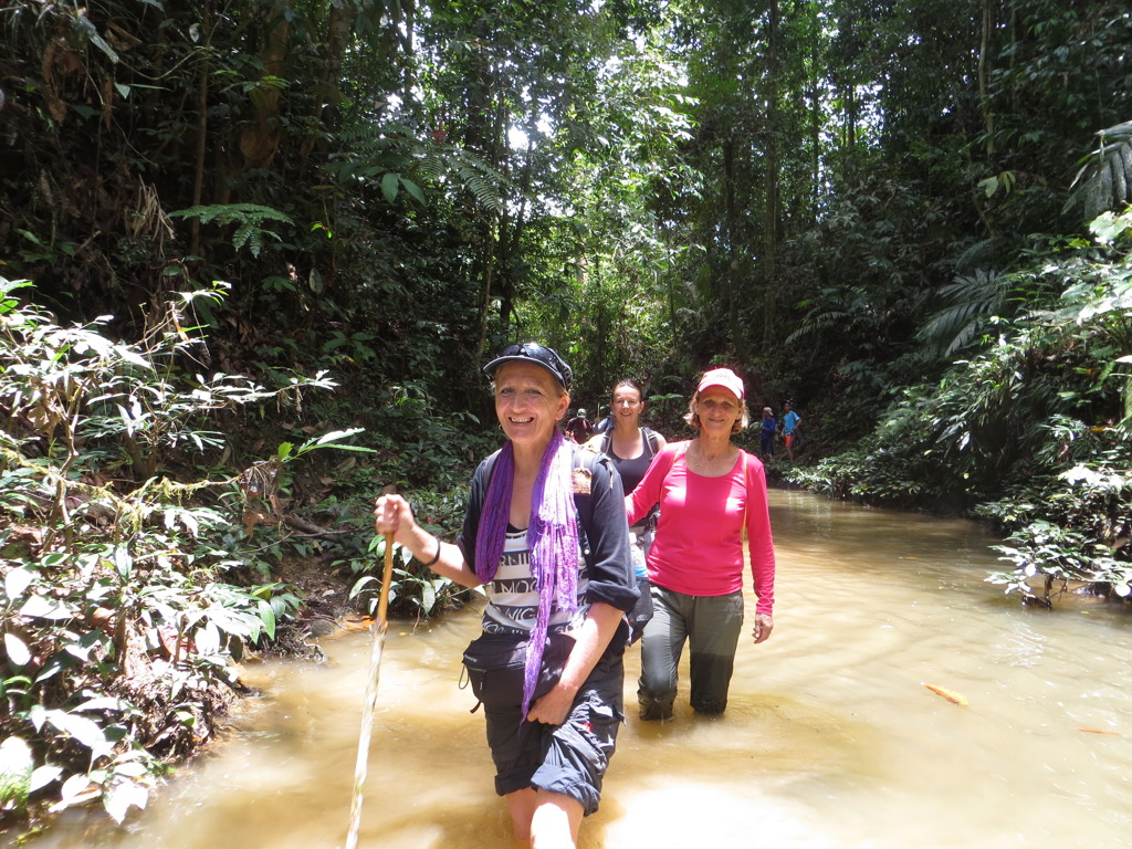 Rondreis Maleisisch Borneo wandeling jungle