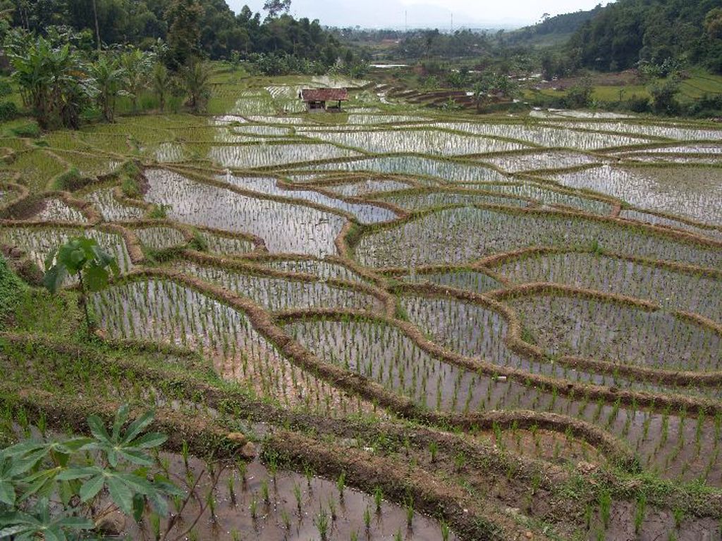 familiereis Indonesië