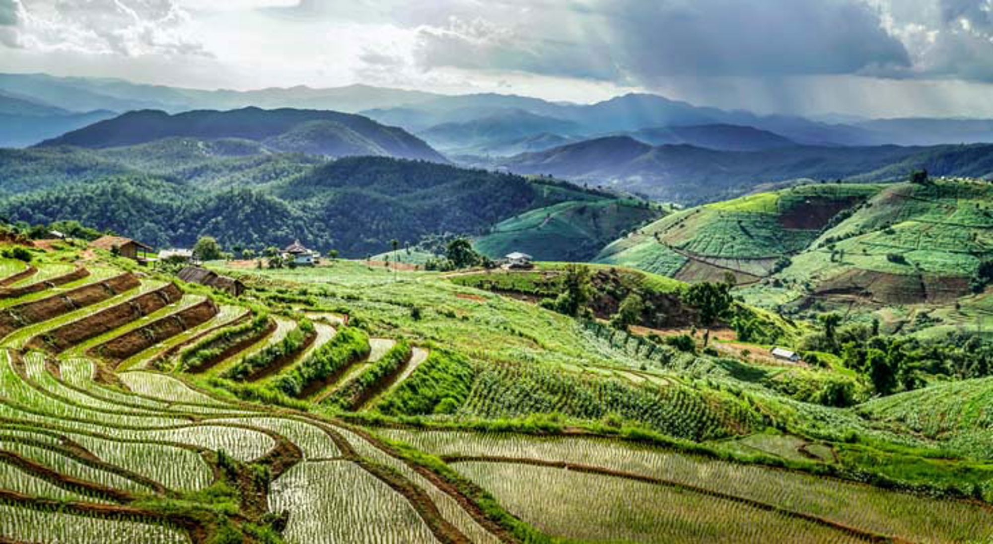 Rijstvelden Chiang Mai Panoramisch uitzicht op groene bergen en vallei in Thailand.