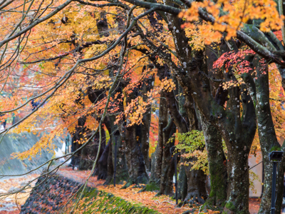 Route Japan 14 dagen - Day 10