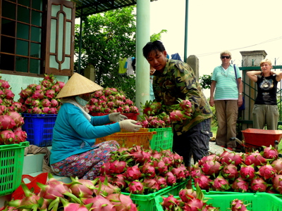 OUD Route Vietnam, 29 dagen (t/m januari 2016) - Dag 6