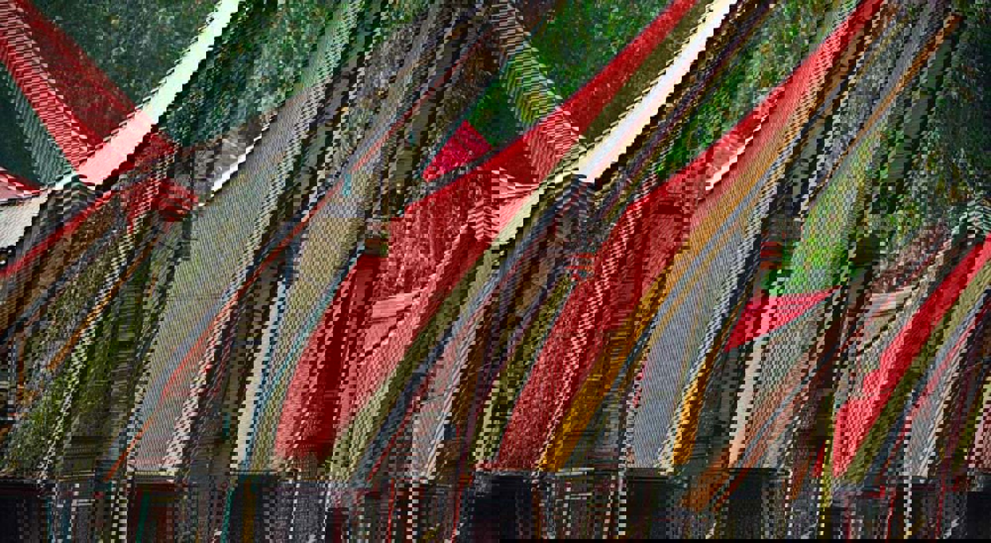 Tana Toraja Indonesië Tana Toraja Indonesië