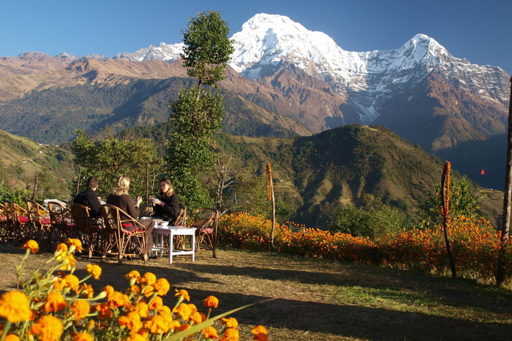 main_Breakfast_with_a_view.jfif