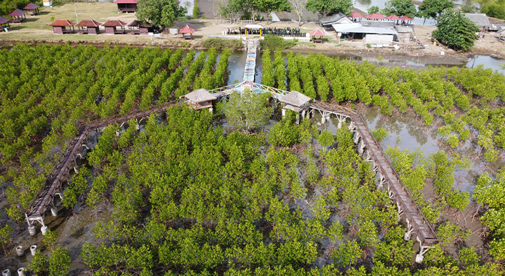 Blue Marine project Indonesië | Afif Benstol