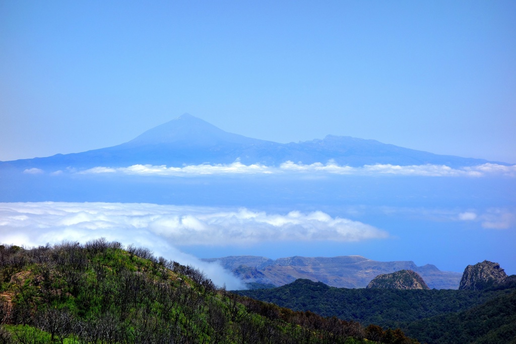 La Gomera Garanojay NP