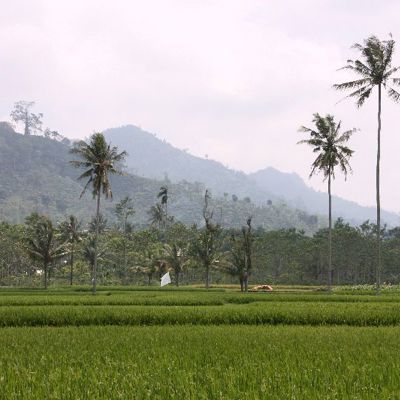 Bali