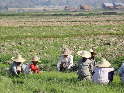 Route Birma/ Myanmar reis, 25 dagen - Day 19