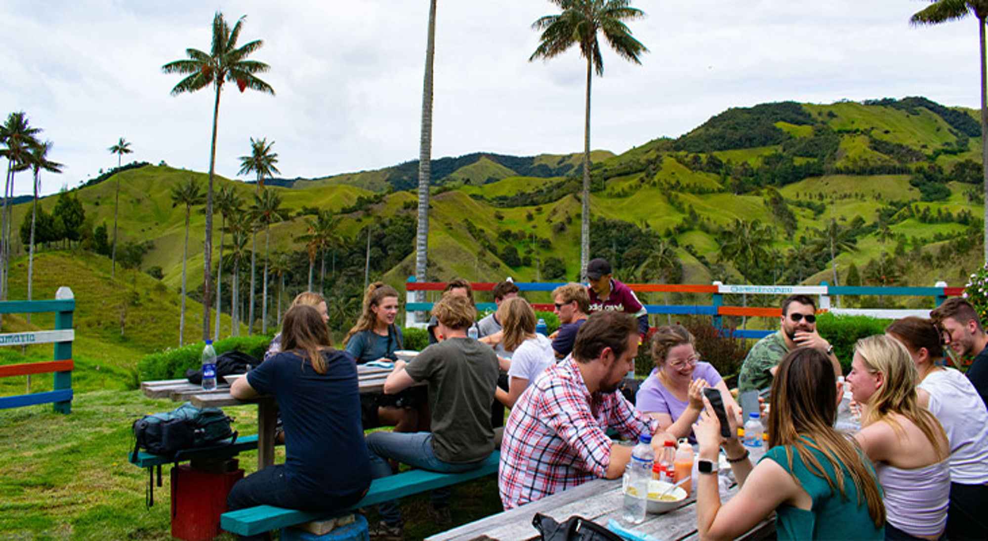 Waxpalmen Samaria-vallei Waxpalmen Samaria-vallei