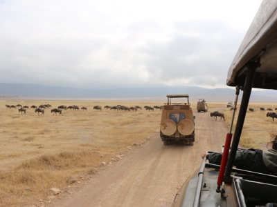 Kenia, Tanzania en Zanzibar, 23 dagen - Dag 14