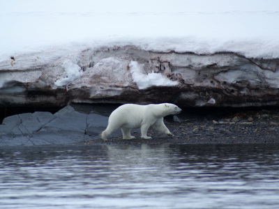 Route 18 dagen Spitsbergen - Dag 3