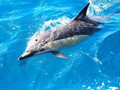 Nieuw Zeeland 28 dagen - Dag 6