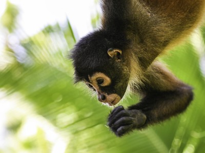 Route Costa Rica - Day 20