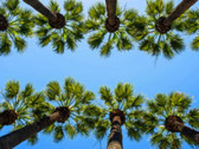 Familiereis Griekenland, 8 dagen - Day 2