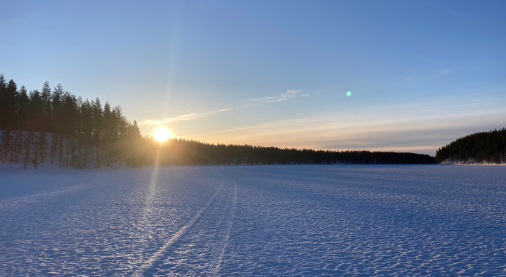 Fins Lapland Fins Lapland