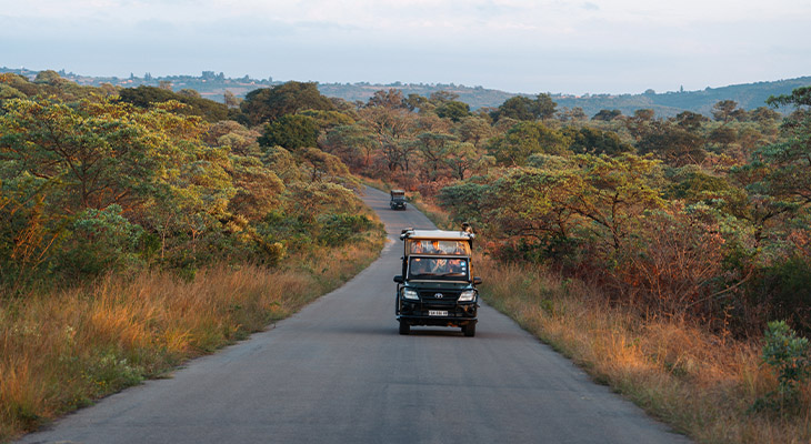 Safari in Zuid-Afrika Safari in Zuid-Afrika