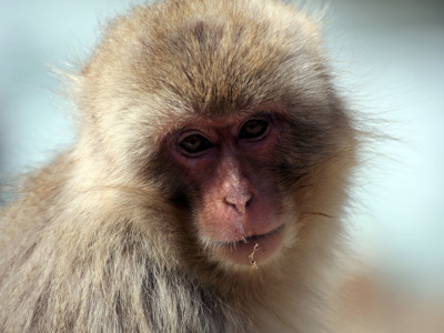 Japan Familie 2025 - Day 6