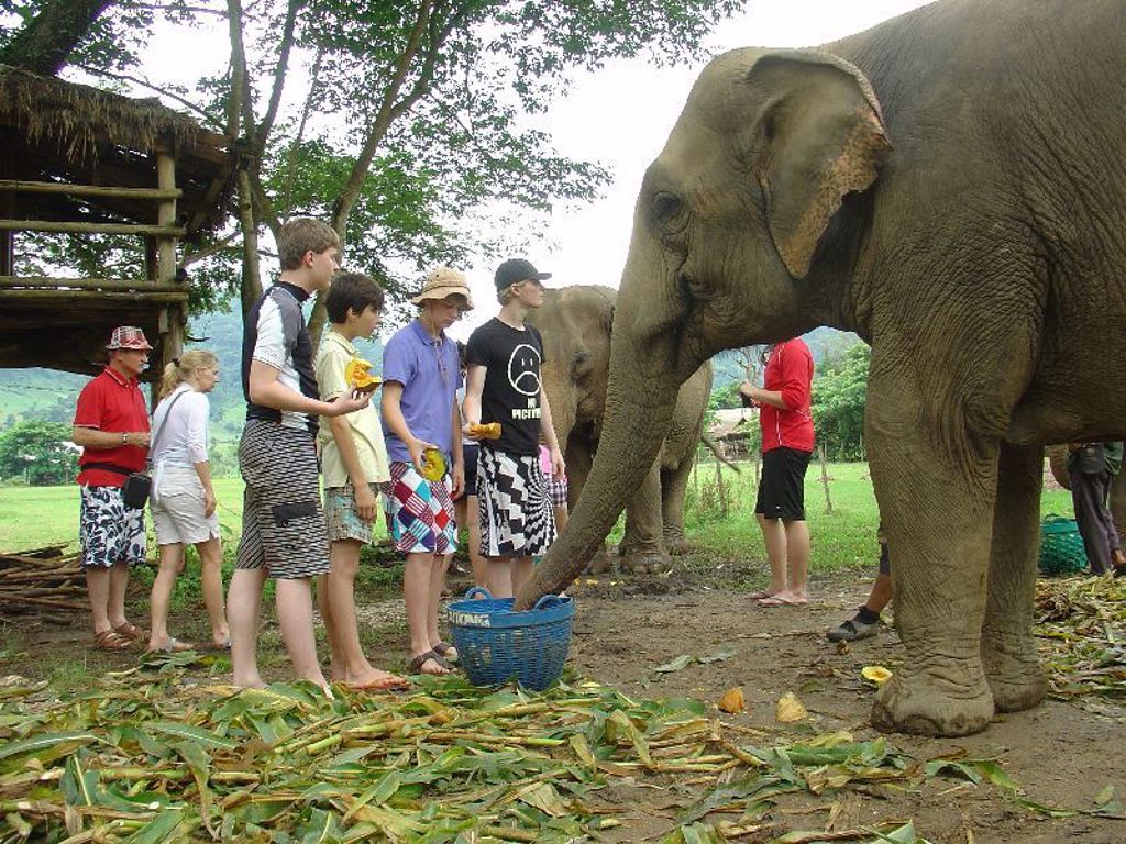 Olifanten project Kalaw