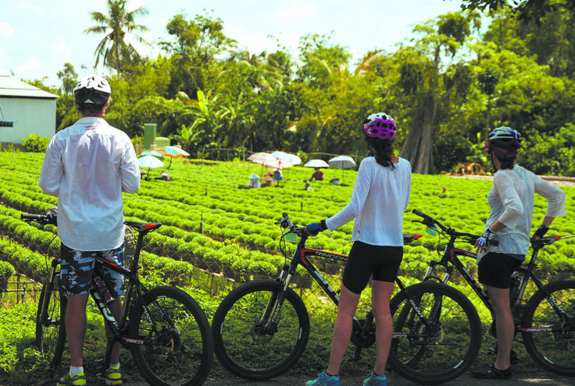 Fietsvakantie Vietnam