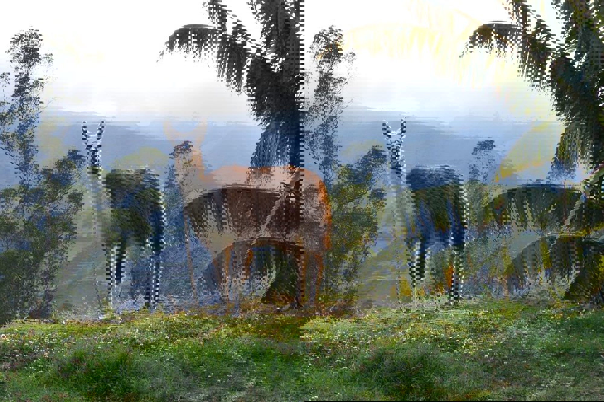 Groepsrondreis Ecuador