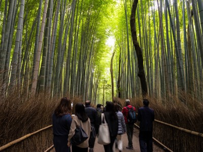 Route Japan, 20 dagen - Day 15