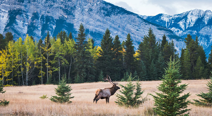 Banff Nationaal Park Canada Banff Nationaal Park Canada