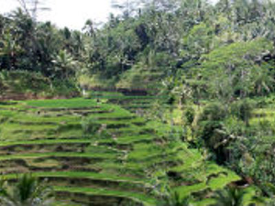 Route Java en Bali, 19 dagen 2022 - Day 16