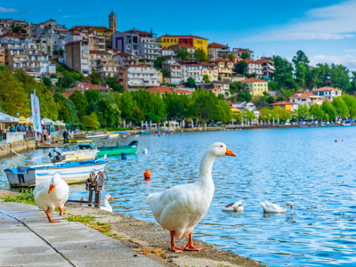 Noord-Griekenland, 15 dagen, 2024 - Dag 5