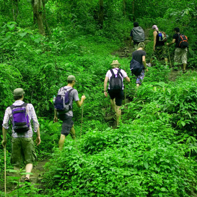 Groep wandelaars tijdens 2-daagse trekking bij Chiang Mai, op pad door het groene junglelandschap.