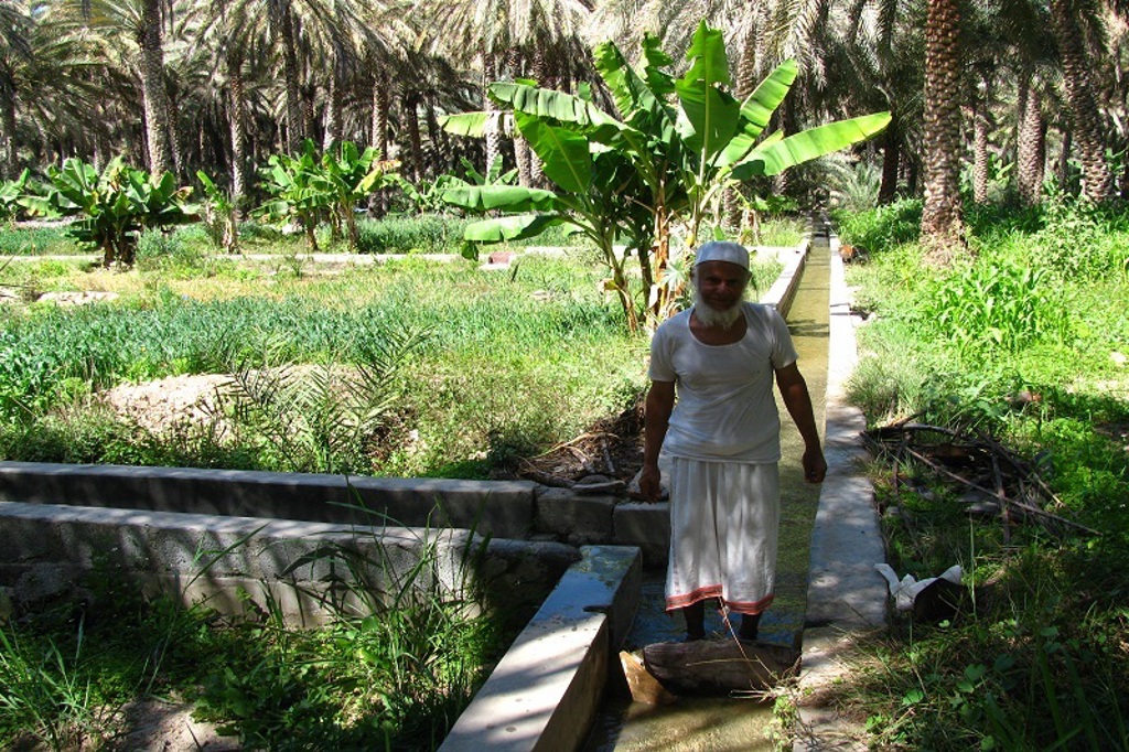 Omani boer in Birkat al Mauz