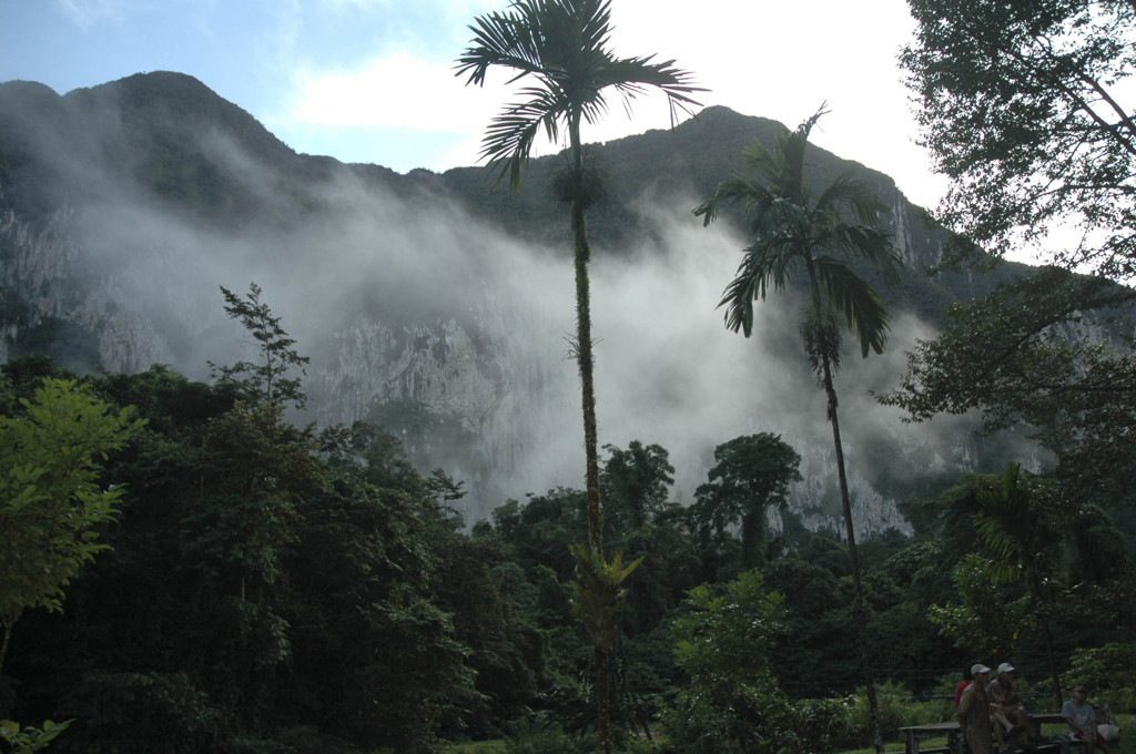 Rondreis Maleisisch Borneo nevelwoud
