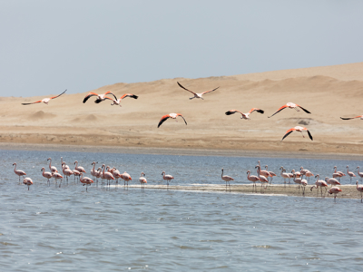 Route Peru, 23 dagen - Dag 2