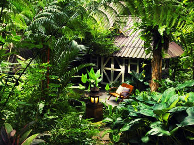 Rainforest Resort Phitsanulok - hutje