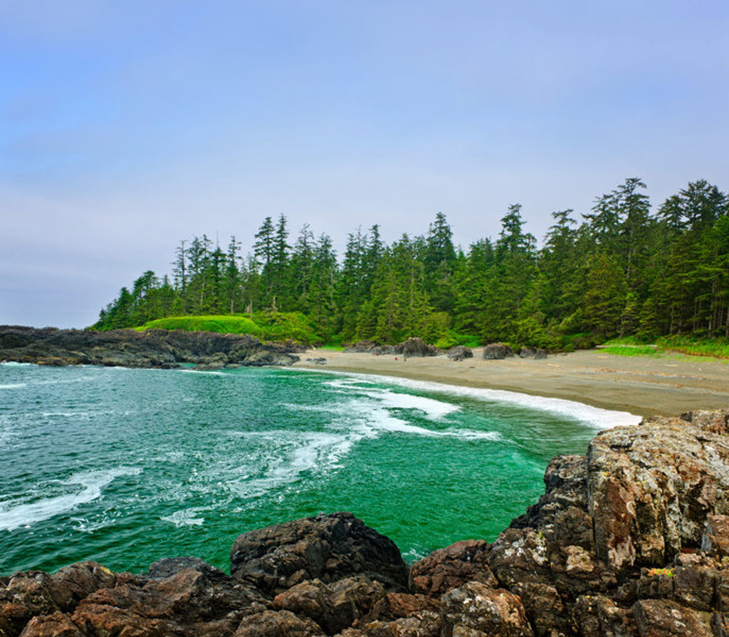 main_Vancouver_Island_-_Pacific_Rim_NP.jpg