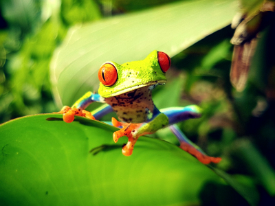 Route Costa Rica, 20 dagen - Day 11