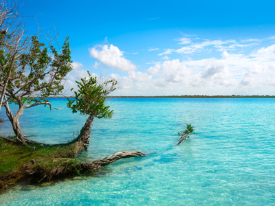 Mexico 19 dagen - Dag 13