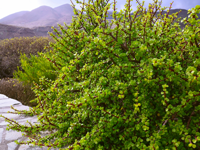 Route Zuid Afrika - Dag 6