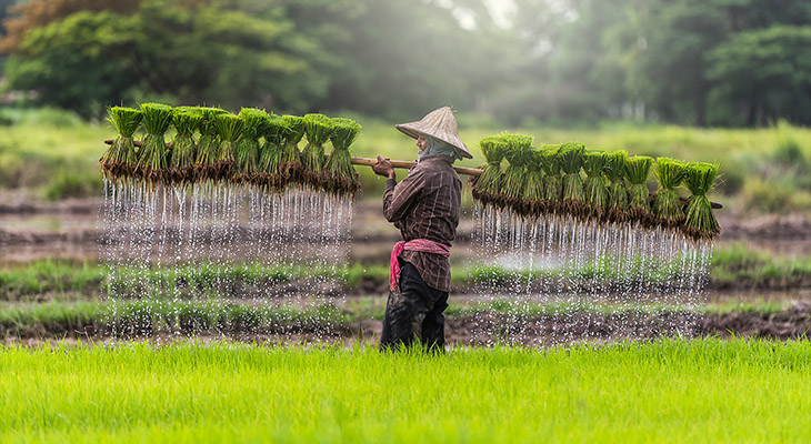 Reizen in het regenseizoen Reizen in het regenseizoen