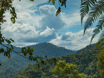 Route Sumatra, Java en Bali, 30 dagen - Day 2