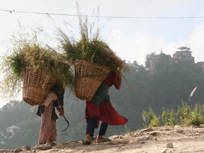 Route Nepal Familiereis 15 dagen, 2019 - Dag 13