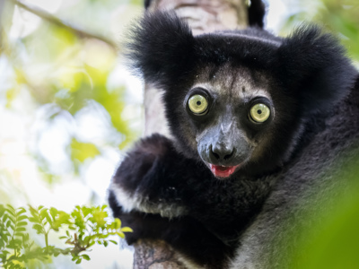 Route Madagascar, 19 dagen - Dag 17