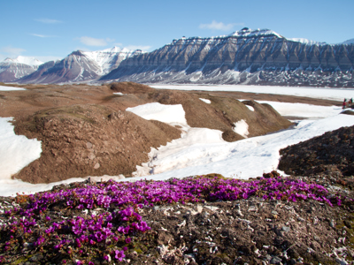 Zeilreis met de Antigua 2020 - Dag 10
