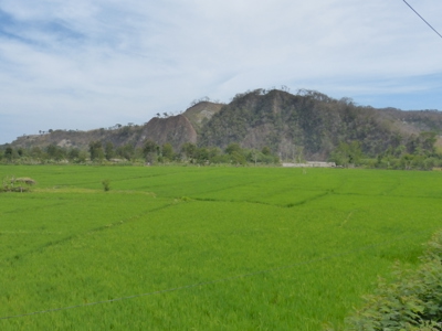 Route Timor, Sumba & Bali, 22 dagen - Day 7