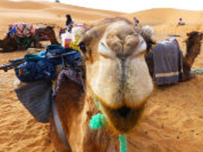 Route Marokko, 13 dagen - Dag 7