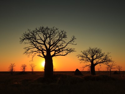 Route West Australië, 25 dagen - Day 22