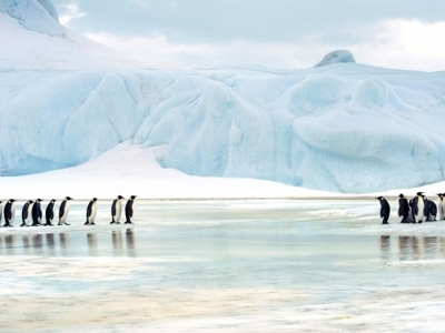 Route rondreis Antarctica 18 dagen - Dag 8